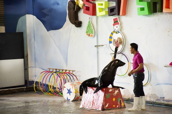 Los Viajeros Tailandeses Extranjeros Que Caminan Visitan Viajan Mirando Espectáculo — Foto de Stock