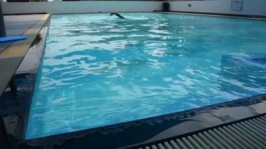 Taylandlı şişman erkekler yüzme ve yüzme havuzları spor kulübü, su üzerinde 22 Kasım 2018 Nonthaburi, Tayland açık oynayan