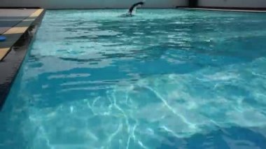 Taylandlı şişman erkekler yüzme ve yüzme havuzları spor kulübü, su üzerinde 22 Kasım 2018 Nonthaburi, Tayland açık oynayan