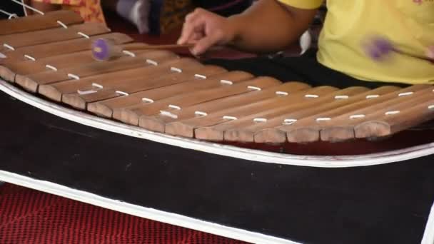 泰国人演奏拉纳特希腊或木琴传统泰语乐器音乐会在泰国暖武里的 Wat Sai Yai 举行的文化节上表演人们 — 图库视频影像