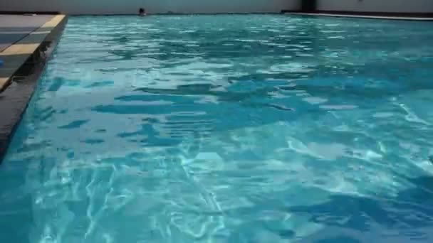 Thaise Vet Mannen Zwemmen Spelen Water Bij Zwembaden Van Sportclub — Stockvideo