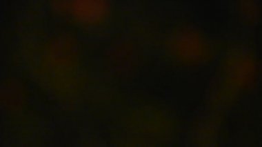 Hareket semt pazarı Nakhon Ratchasima, Tayland adil bahçe led lingthing renkli bokeh.