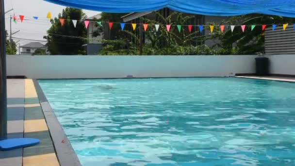 Ταϊλάνδης Λίπος Ανδρών Κολυμπούν Και Παίζουν Στο Νερό Στις Πισίνες — Αρχείο Βίντεο