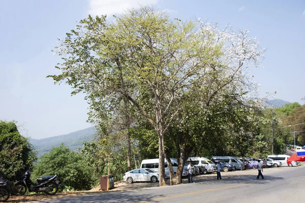 Los Tailandeses Los Viajeros Extranjeros Detienen Coche Estacionamiento Para Visitar — Foto de Stock