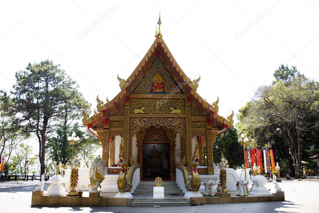 Thai people and traveler foreigner travel visit and respect praying chedi and Buddha's relics at Wat Phra That Doi Tung on Febuary 22, 2018 in Chiang Rai, Thailand