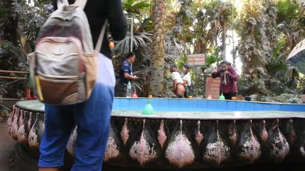 Udon Thani Thailand December Kolam Air Suci Untuk Orang Thai — Stok Video