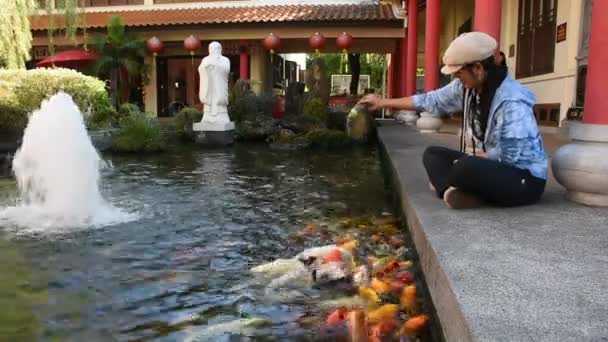 アジアのタイの女性旅行訪問とタイ語中国語文化センターと Sanjao Phuya 中国神社中国の庭の池の鯉とウドンタニ タイの寺院を空想する食べ物を供給 — ストック動画