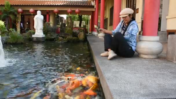 Asian Thai Woman Travel Visit Feeding Food Fancy Carp Pond — Stock Video