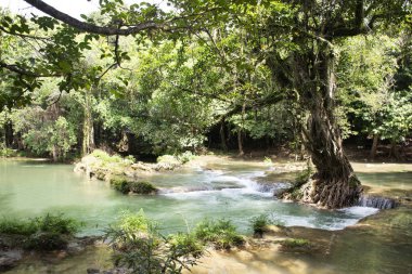 Hareket hareket ve Chet Sao Noi küçük şelaleler, su veya Namtok Chet Sao Noi Milli Parkı Muak Lek District Tayland'da Saraburi il akan.