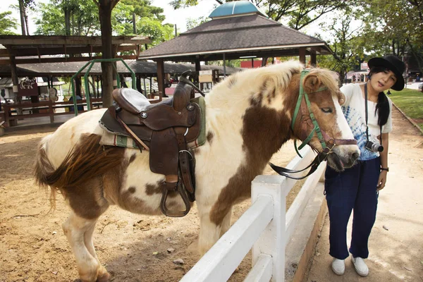 Reisende Thailändische Frau Reisen Und Posieren Für Foto Mit Zwergpferd — Stockfoto