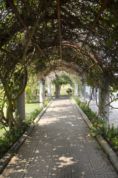 Tree Tunnel Garden Stone Footpath Public Park Sing Buri Thailand — Stock Photo, Image