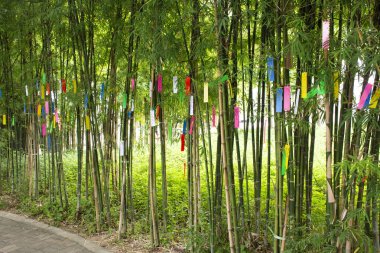 Seyahat etmek insanlar birleştirmek ve dilek kağıda yazı ve dayan bambu ağacı Tanabata veya yıldız Japon Festivali'nde Japonya Köyü'nde 8 Temmuz 2018 Ayutthaya, Tayland
