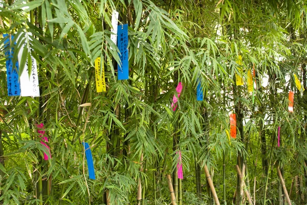Travelers People Join Writing Wishes Paper Hang Bamboo Tree Tanabata — Stock Photo, Image