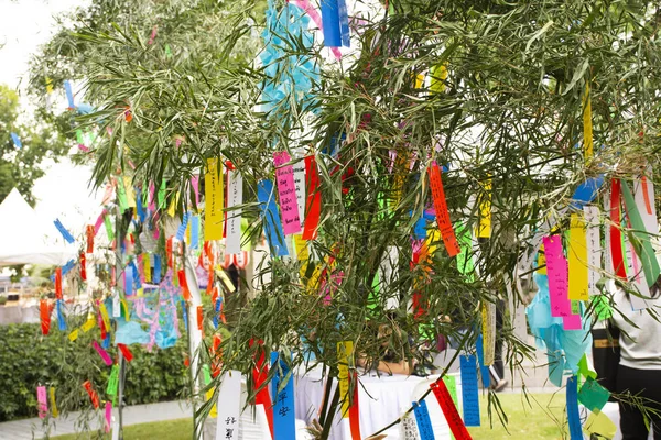 Viajantes Pessoas Juntam Escrevem Desejos Papel Penduram Árvore Bambu Tanabata — Fotografia de Stock