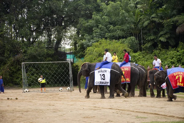 Elephant Theme Show Thai People Travelers Foriegner Looking Samphran Elephant — Foto de Stock