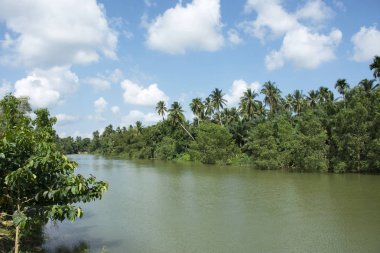 Peyzaj ve Sawi di Sawi Nehri'nin su akan hareket göster