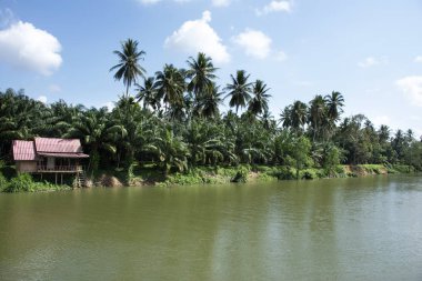 Peyzaj ve Sawi di Sawi Nehri'nin su akan hareket göster