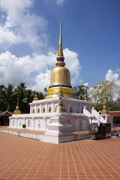 Vue paysage avec stupa de Wat phra que le temple sawi pour thai — Photo