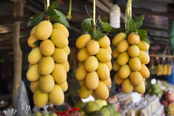 Marian plum or gandaria or plum mango on stall for sell at local — Stock Photo, Image