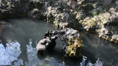 Tokyo Chiba Prefecture Naritasan kamu parkı Naritasan erik bahçesinde bahçe Japon tarzı gölet Dekorasyon tasarımı, Japonya
