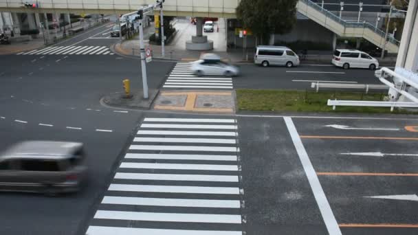 3月26日 2019年3月26日 江東区有明の東京大地で交通が終わった後 横断歩道を渡る日本人と外国人が帰宅する — ストック動画