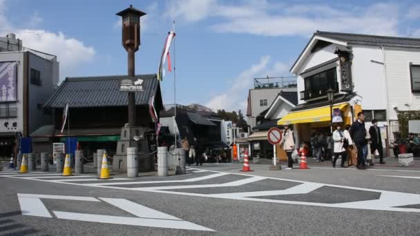 Τόκιο Ιαπωνία Μαρτίου Ιάπωνες Και Ξένοι Ταξιδευτή Πόδια Για Ψώνια — Αρχείο Βίντεο