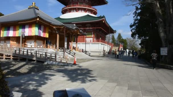 Токио Япония Марта Японский Народ Иностранный Путешественник Посещают Молятся Храме — стоковое видео