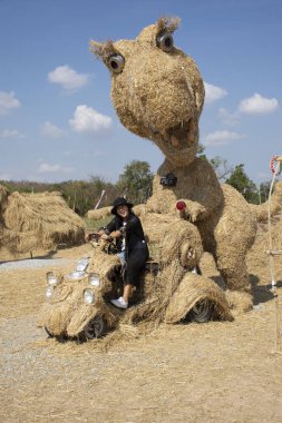 Gezginler Taylandlı kadın insanlar ziyaret seyahat ve portre poz