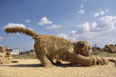 Saman kuklalar veya pipetler adam rakam Festivali Tayland halkı için ve 