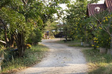Tatil köyü bahçesindeki ahşap kulübe ve Taylandlılar için ev sahipliği. 