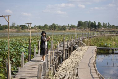 Gezginler Taylandlı kadın insanlar ziyaret seyahat ve portre poz