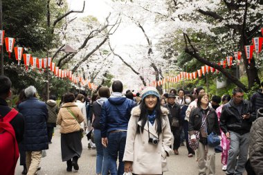 Japon p ile fotoğraf çekmek için portre poz Taylandlı kadın insanlar