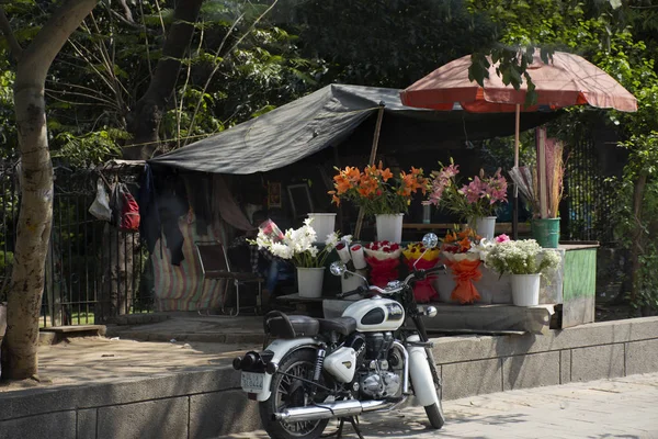 Indiska människor försäljning och köpa träd växt och blommor gåvor från Loc — Stockfoto