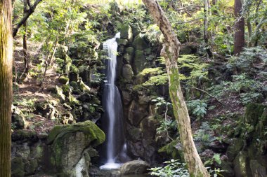Naritasan erik bahçesinde orman ve dağ küçük şelaleler