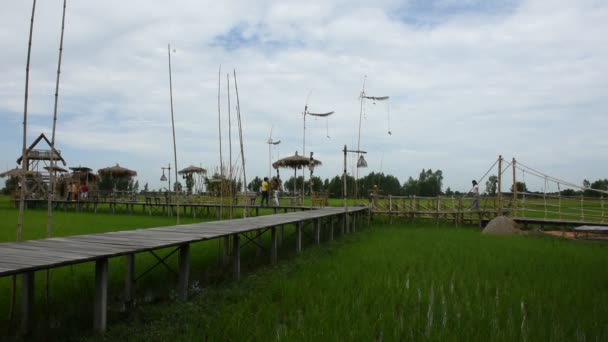 Ayutthaya Thajsko Července Thajci Cizinci Cestují Procházku Dřevěném Mostě Rýžovém — Stock video