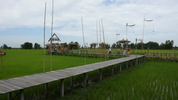 7月23日 泰国Ayutthaya 2019年7月23日 泰国人和外国游客在泰国Ayutthaya的稻田木桥上散步 拍照在农村的咖啡店 — 图库视频影像