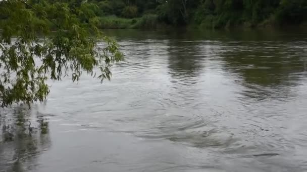 Movement Flowing Water Mae Khlong Meklong River Ban Pong Ratchaburi — Stock Video