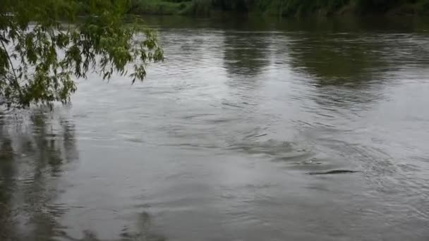 Movimiento Flujo Agua Mae Khlong Río Meklong Ban Pong Provincia — Vídeos de Stock