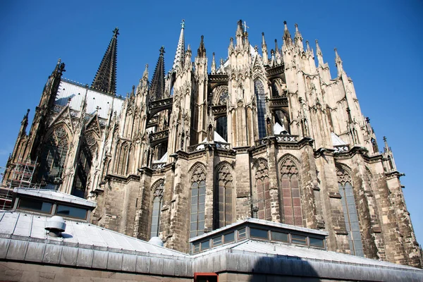 Los Alemanes Los Viajeros Extranjeros Visitan Respetan Dios Orante Catedral —  Fotos de Stock