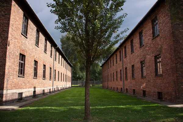 Visita Grupos Viajeros Polacos Polacos Extranjeros Campamento Concentración Exterminio Nazi —  Fotos de Stock