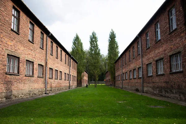 Visita Grupos Viajeros Polacos Polacos Extranjeros Campamento Concentración Exterminio Nazi —  Fotos de Stock