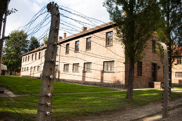 Visita Grupos Viajeros Polacos Polacos Extranjeros Campamento Concentración Exterminio Nazi —  Fotos de Stock