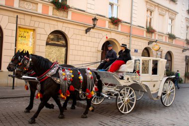Polonyalılar, 20 Eylül 2019 'da Polonya' nın Lesser kentinde, Stare Miasto 'da, ana pazar meydanında hizmet turu yapan Polonyalılar ve yabancı gezginler için at arabalarına binip bekleyin.