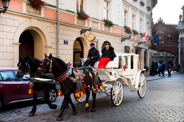 Polonês Esperar Montar Carruagens Puxadas Cavalo Para Pessoas Polonesas Viajantes — Fotografia de Stock