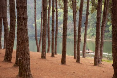 Taylandlılar ve gezginler Pang Oung Orman Parkı 'ndaki Pang Ung Gölü veya Tayland' daki Mae Hong Son, Tayland 'daki Ban Rak Thai köyünü ziyaret edip bambu salları kullanıyorlar.