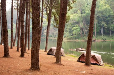 Pang Ung çam ormanı ve çadır kampı manzarası. Tayland 'ın otantik Çin köyü Ban Rak Thai' de Pang Oung Gölü 'nde bambu salları hareket ederken.