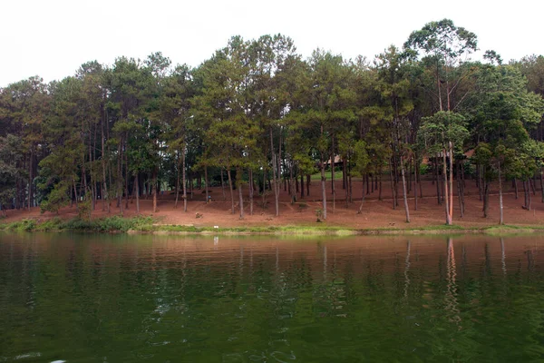 Ver Paisaje Del Lago Pang Ung Parque Forestal Pang Oung — Foto de Stock