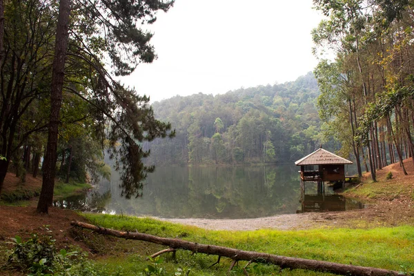 View Landscape Pang Ung Lake Pang Oung Forest Park Switzerland — Stock Photo, Image