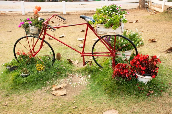 Old red classic vintage retro bicycle exterior decoration furniture of garden outdoor and flowers for travelers travel visit rest relax at cafe coffee shop at Pai city hill in Mae Hong Son, Thailand