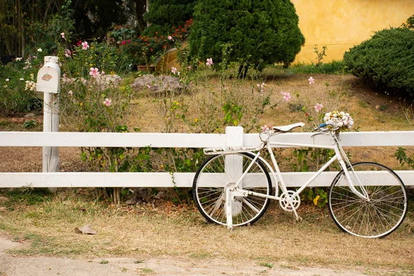Old white classic vintage retro bicycle exterior decoration furniture of garden outdoor and flowers for travelers travel visit rest relax at cafe coffee shop at Pai city hill in Mae Hong Son, Thailand